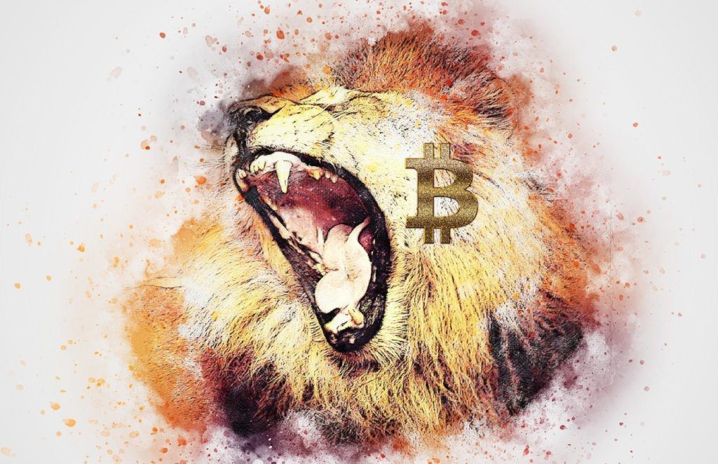 Bitcoin, král, lev, společnosti, zlobí, altcoiny, sezóna, kryptoměny, HODL