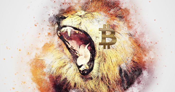 Bitcoin, král, lev, společnosti, zlobí, altcoiny, sezóna, kryptoměny, HODL