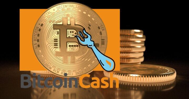 Bitcoin Cash, ver, fork, bch, ver, roger ver, hard fork, bcash