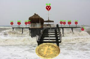 Square, btc, bitcoin, tsunami, příliv, vlna, kryptomarket, moře