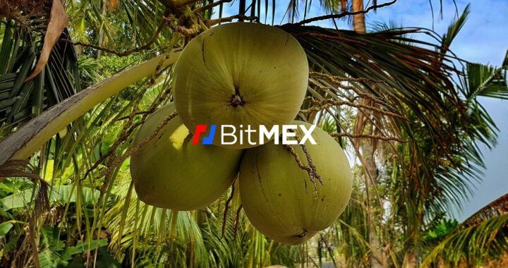 Kokosy, Arthur Hayes, obvinění, burzy, BitMEX, Arthur Hayes, žaloba cftc, burza, bitmex