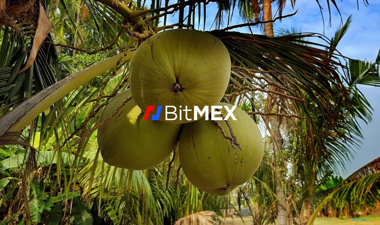Majitelé burzy BitMEX čelí vážné obžalobě, která je bude stát víc než „kokosové ořechy;” Bittrex je vítán na Bermudách: Příběhy týdne