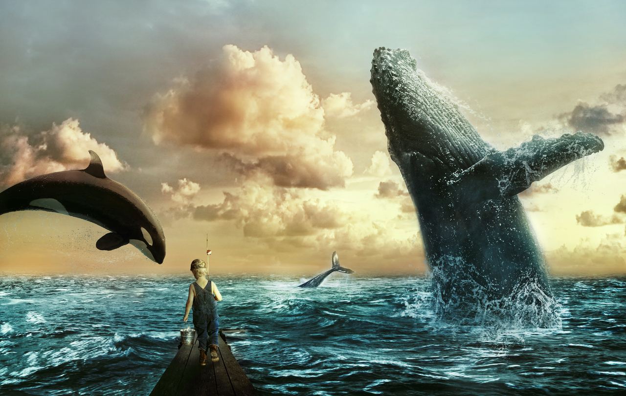 Wall Street FOMO mění BTC velryby na „plankton.“ Je tu nová kapitola kryptotrhu