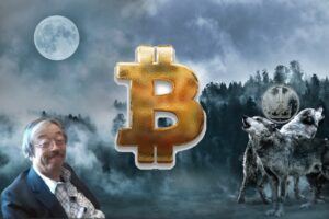 bitcoin, btc, cena, milion, korun, koruna, kč, vlk, moon, satoshi, satoshi nakamoto