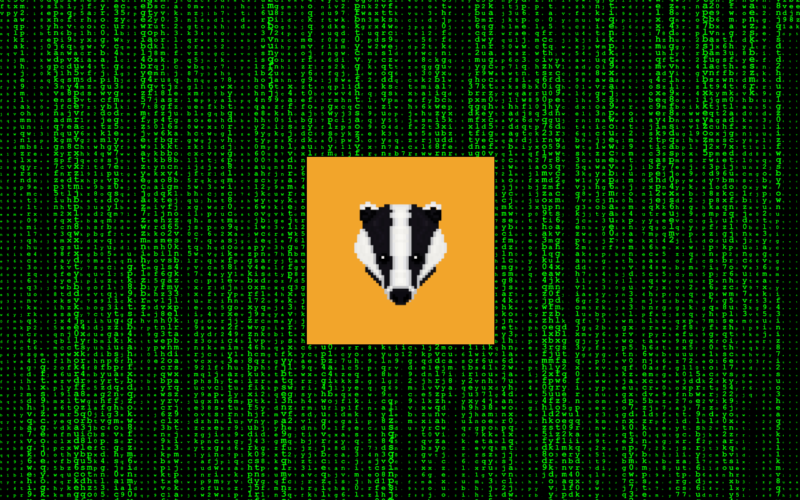 hack, BadgerDAO