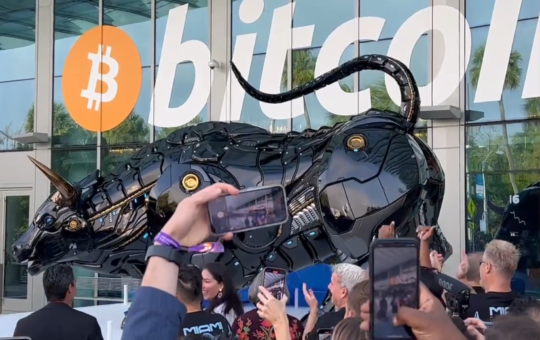 Bitcoin 2022, Miami, bull