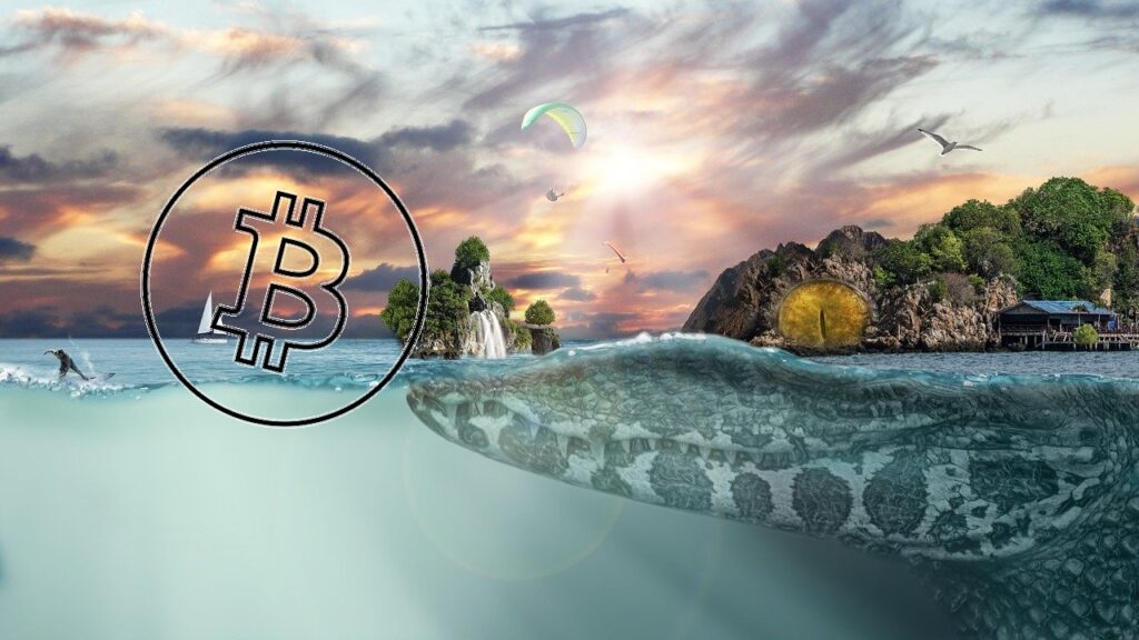 bitcoin, sci-fi, btc, krokodýl, ostrov, voda, moře, obloha