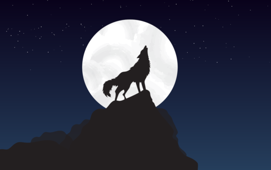 vlk, vlk z wall street, moon, měsíc, top