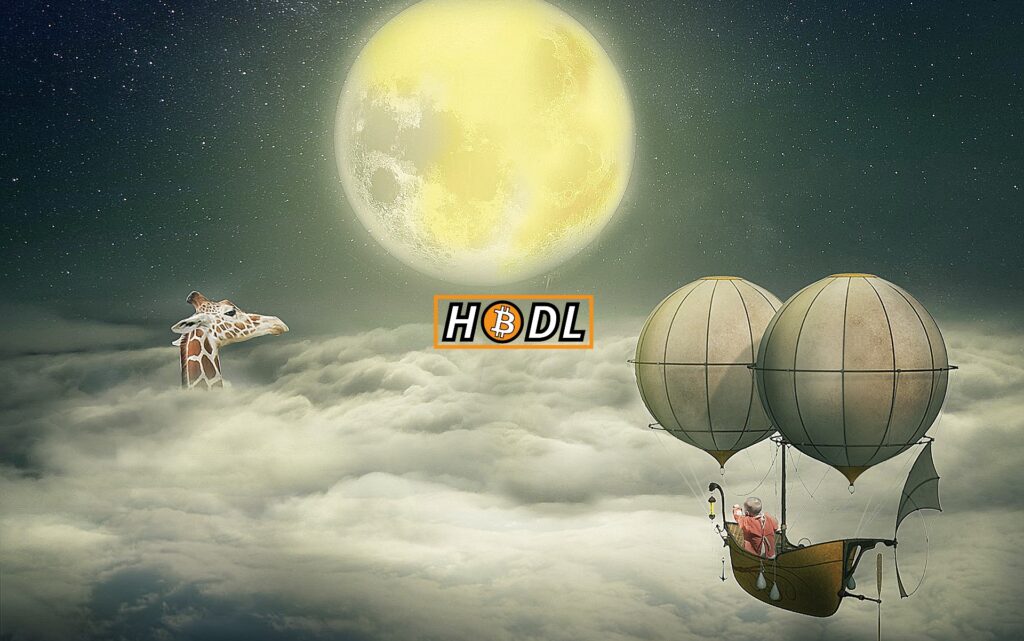 hodl, hodler, bitcoin, vzducholoď, moon, obloha