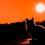 Exodus 1,9 mld. USD a záblesk naděje dopadl na investiční fondy kryptoměn, hlásí CoinShares