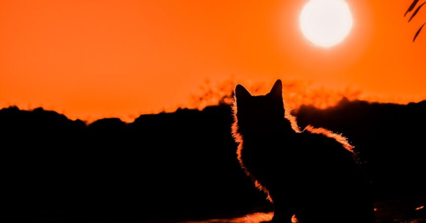 Exodus 1,9 mld. USD a záblesk naděje dopadl na investiční fondy kryptoměn, hlásí CoinShares