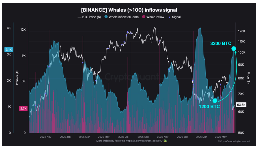 Během posledního měsíce posílaly velryby na Binance v průměru 3 200 BTC denně, zatímco na konci dubna činil tento údaj pouze 1 200 BTC denně. To představuje nárůst o více než 160 % během několika týdnů.