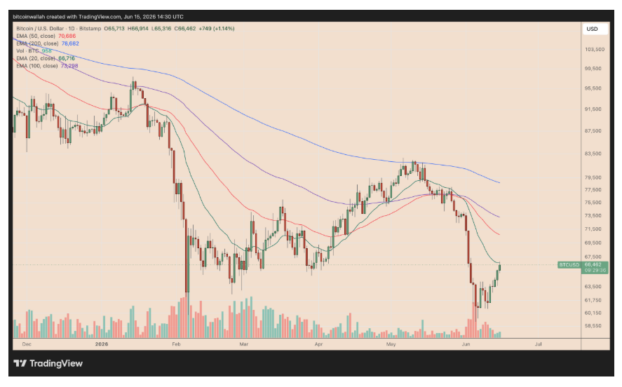Denní cenový graf  BTC/USD s cenou nad 66 000 USD.