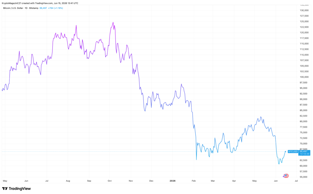 Vývoj ceny bitcoinu za poslední rok. Zdroj: tradingview.com