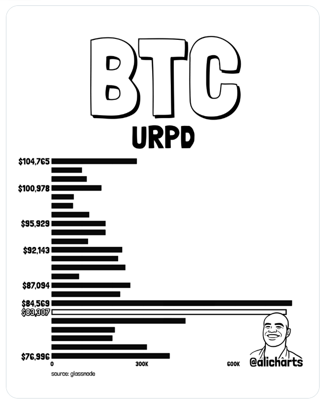 Graf znázorňuje cenové úrovně, na kterých se podle dat Glassnode soustředí velké objemy nevyřízených nákupních a prodejních pozic na Bitcoinu. Hladina 84 569 USD představuje významnou zónu, kterou musí Bitcoin překonat, aby posílil šance na další růst.